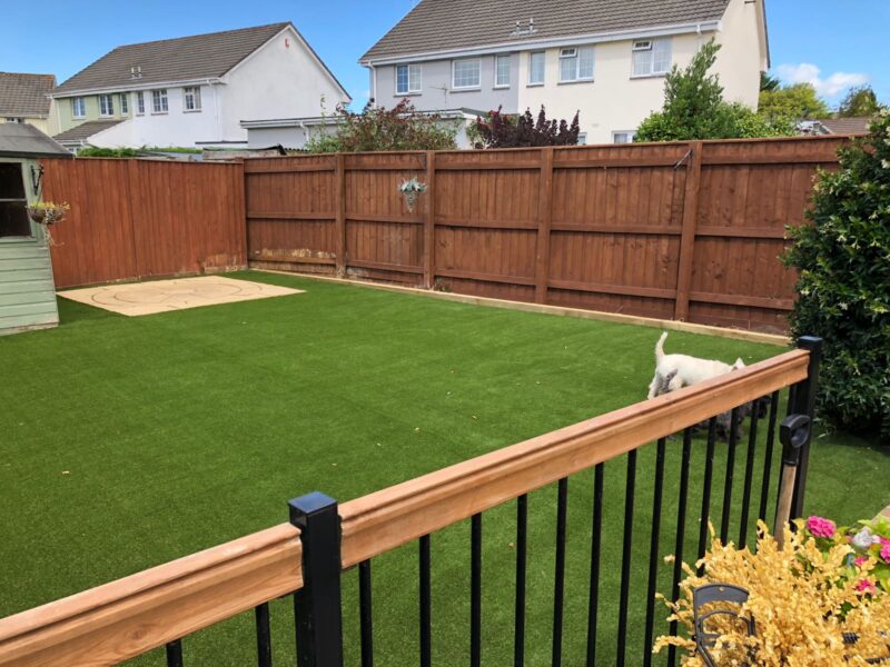 Two dogs walking on artificial grass lawn