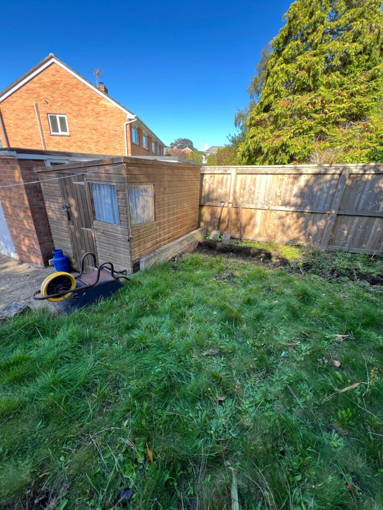 garden before old shed