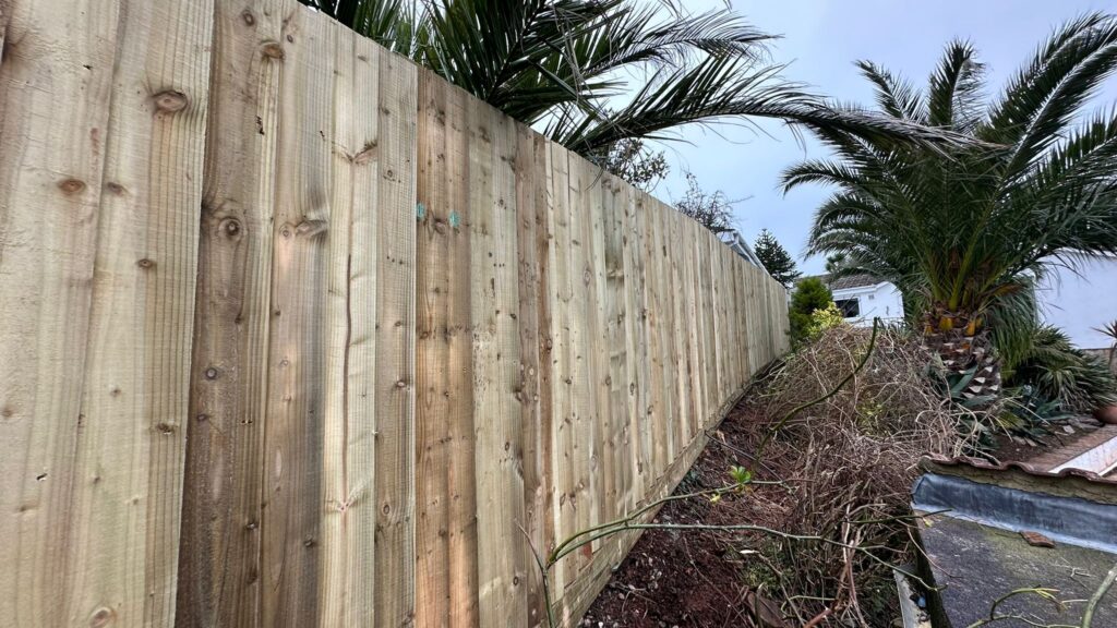 fencing view front