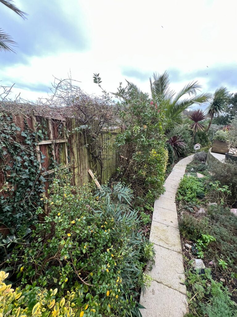 pathway showing old fencing